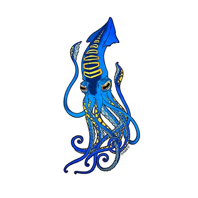 Blue squid Design Water Transfer Temporary Tattoo(fake Tattoo) Stickers NO.11377